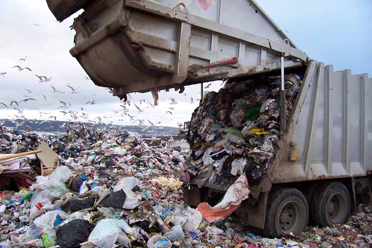 Safely Dispose of Waste